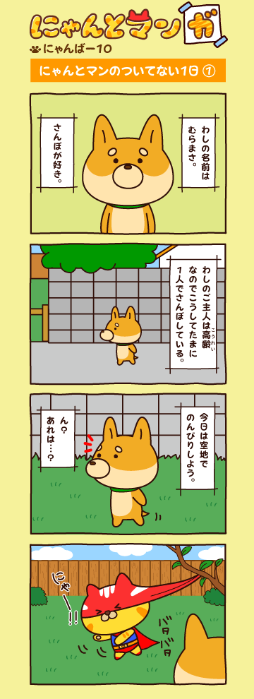 にゃんばー１０