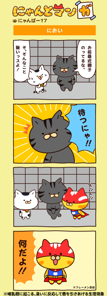 にゃんばー１７