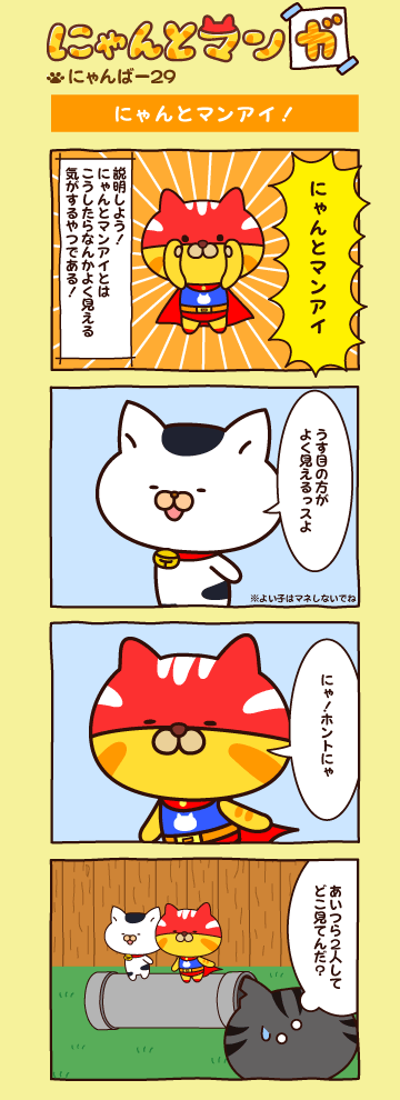 にゃんばー２９