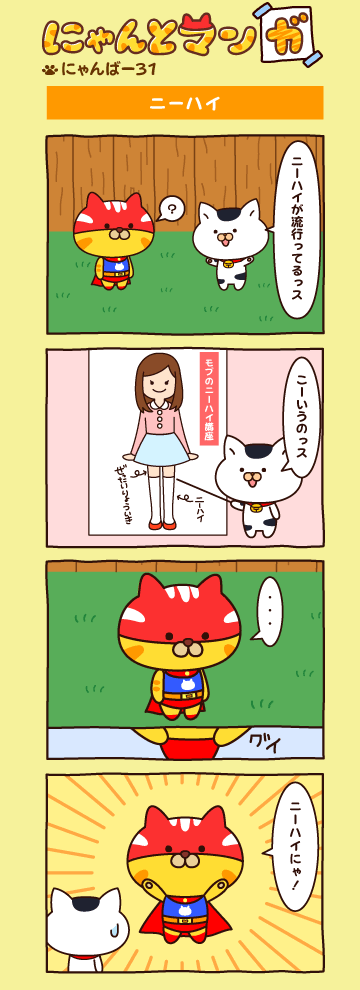 にゃんばー３１