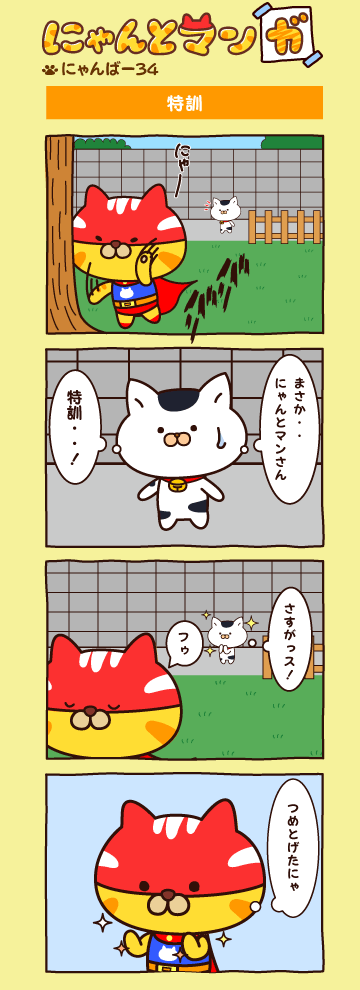 にゃんばー３４