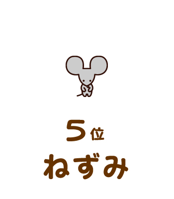 5位ねずみ